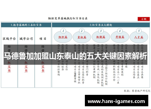 马德鲁加加盟山东泰山的五大关键因素解析